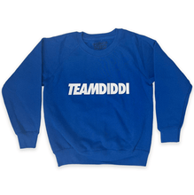 Load image into Gallery viewer, TeamDiddi Sweaters
