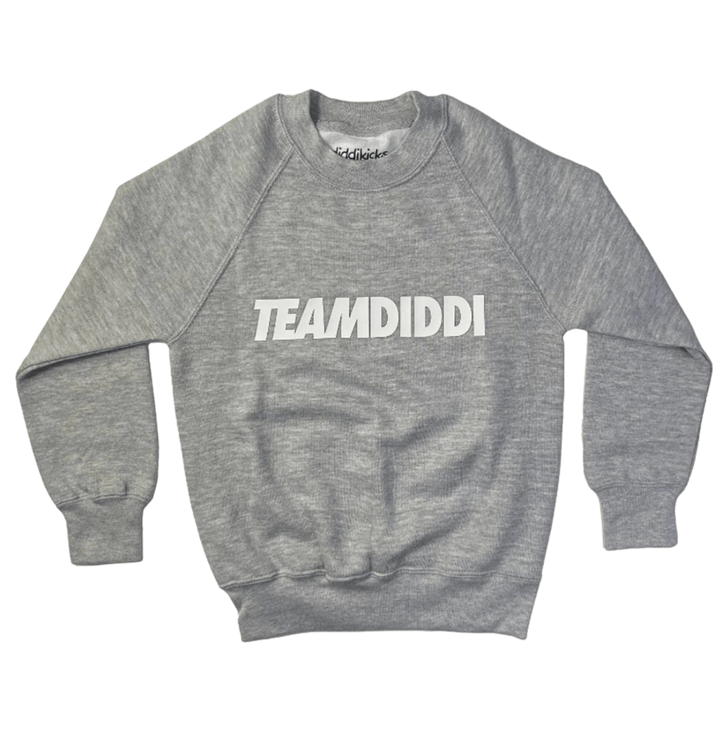 TeamDiddi Sweaters
